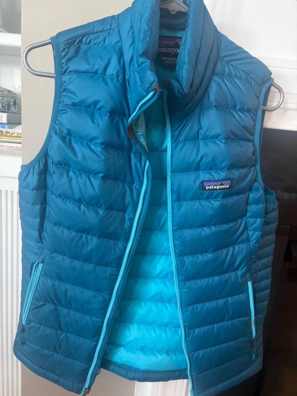 Patagonia Bright Teal and Aqua Insulated Vest